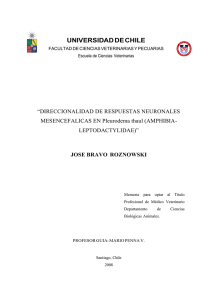 Repositorio Académico - Universidad de Chile
