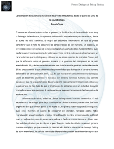 La formación de la persona durante el desarrollo intrauterino, desde