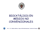 biocatálisis en medios no convencionales