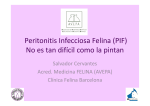 Peritonitis Infecciosa Felina (PIF)