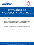catálogo de modelos anatómicos