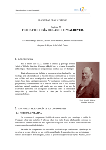 fisiopatología del anillo waldeyer.