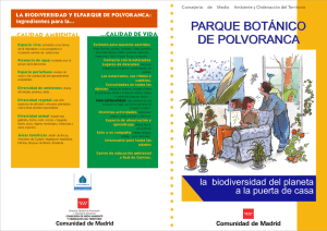 DEFINITIVO monografico botanico1.cdr