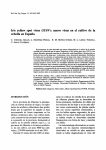 Iris yellow spot virus (IYSV): nuevo virus en el cultivo de la cebolla