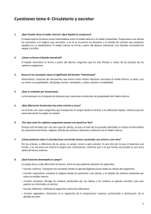 Cuestiones tema 4. Aparato circulatorio y excretor.