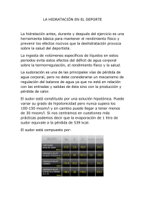 LA HIDRATACIÓN EN EL DEPORTE La