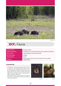 Desglose9 PROF: Tema 7 - Fauna