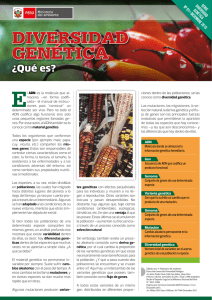 diversidad genética - GENESPERU