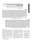 Texto Completo(PDF-173 KB)