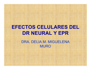 EFECTOS CELULARES DEL DR NEURAL Y EPR