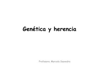 Herencia y Genetica