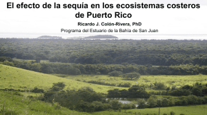 El efecto de la sequía en los ecosistemas costeros de Puerto Rico