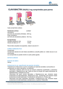 FICHA TÉCNICA CLAVUBACTIN 250/62,5 mg