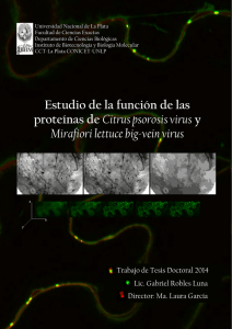 Estudio de la función de las proteínas de Citrus psorosis virus y