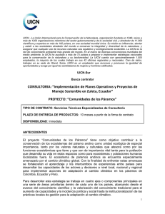 CONSULTORIA: “Implementación de Planes Operativos y Proyectos