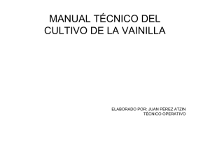 Manual Técnico de la Vainilla