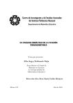 Maldonado, E. (2005). - Programa de Matematica Educativa
