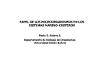 papel de los microorganismos en los sistemas marino