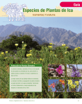 Guía Especies de Plantas de Ica