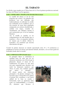 Cultivo Tabaco Pimiento. ( pdf , 570,93 Kb )