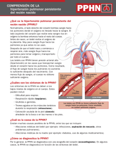 COMPRENSIÓN DE LA hipertensión pulmonar - nicu-pet