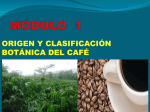 Escuela de Café: presentación del módulo 1