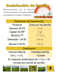 Desinfección de Semilla