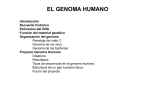 EL GENOMA HUMANO