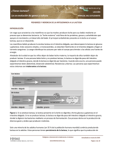 The making of the Fittest: Natural Selection and Adaptation