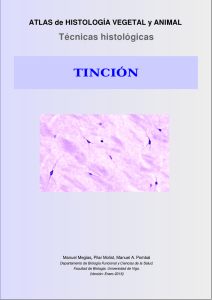 4. Tinción - Atlas de Histología Vegetal y Animal