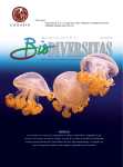 medusas - Biodiversidad Mexicana