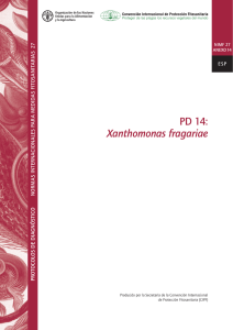 PD 14: Xanthomonas fragariae