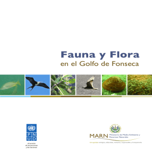 Fauna y Flora