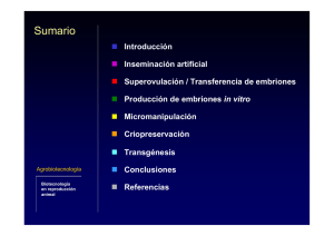 C11 Biotecnologia de la reproduccion animal