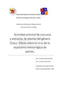 Actividad antiviral de cúrcuma y extractos de plantas del género