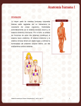 Anatomía humana I