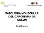 Patología molecular del carcinoma de cólon. Dra. Eva Musulén