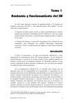 Tema 1 - OCW - Universidad de Murcia