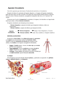 Aparato Circulatorio
