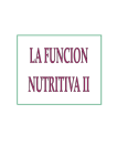 19La Función Nutritiva 2 - Aulas PT Maria Reina Eskola