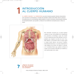 Páginas de muestra