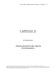 capitulo x