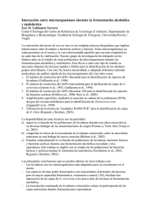 Interacción entre microorganismos durante la fermentación