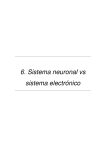 6. Sistema neuronal vs sistema electrónico