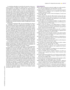 Desarrollo del coraz&oacute;n