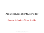 Arquitecturas cliente/servidor