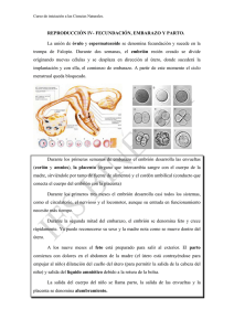 LA DIGESTIN Y EL APARATO DIGESTIVO