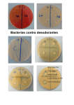Bacterias contra desodorantes