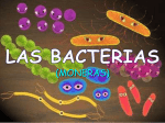 Bacterias y virus - ies "poeta claudio rodríguez"