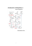 Metabolismo de Iones Inorgánicos